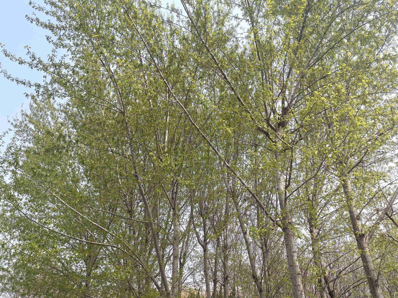 我的今日状态：💰期待暴富
我这里的天气：☀️晴天