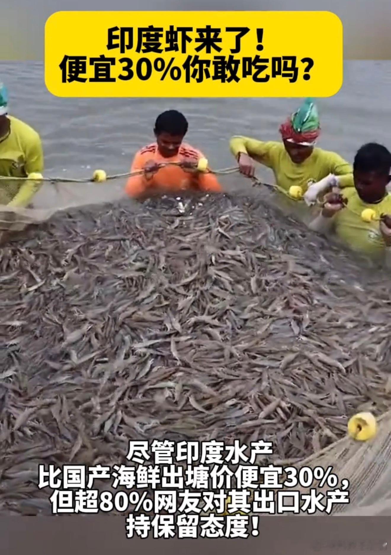 这不中国暂停进口日本水产品了，印度将此视作重大利好，印度商家准备进军中国市场，号