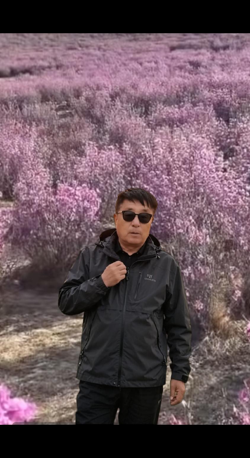 一首歌皆尽人的一生感悟歌曲，也唱出多少人的无奈，把这首歌，送给在呼我的人，一一
