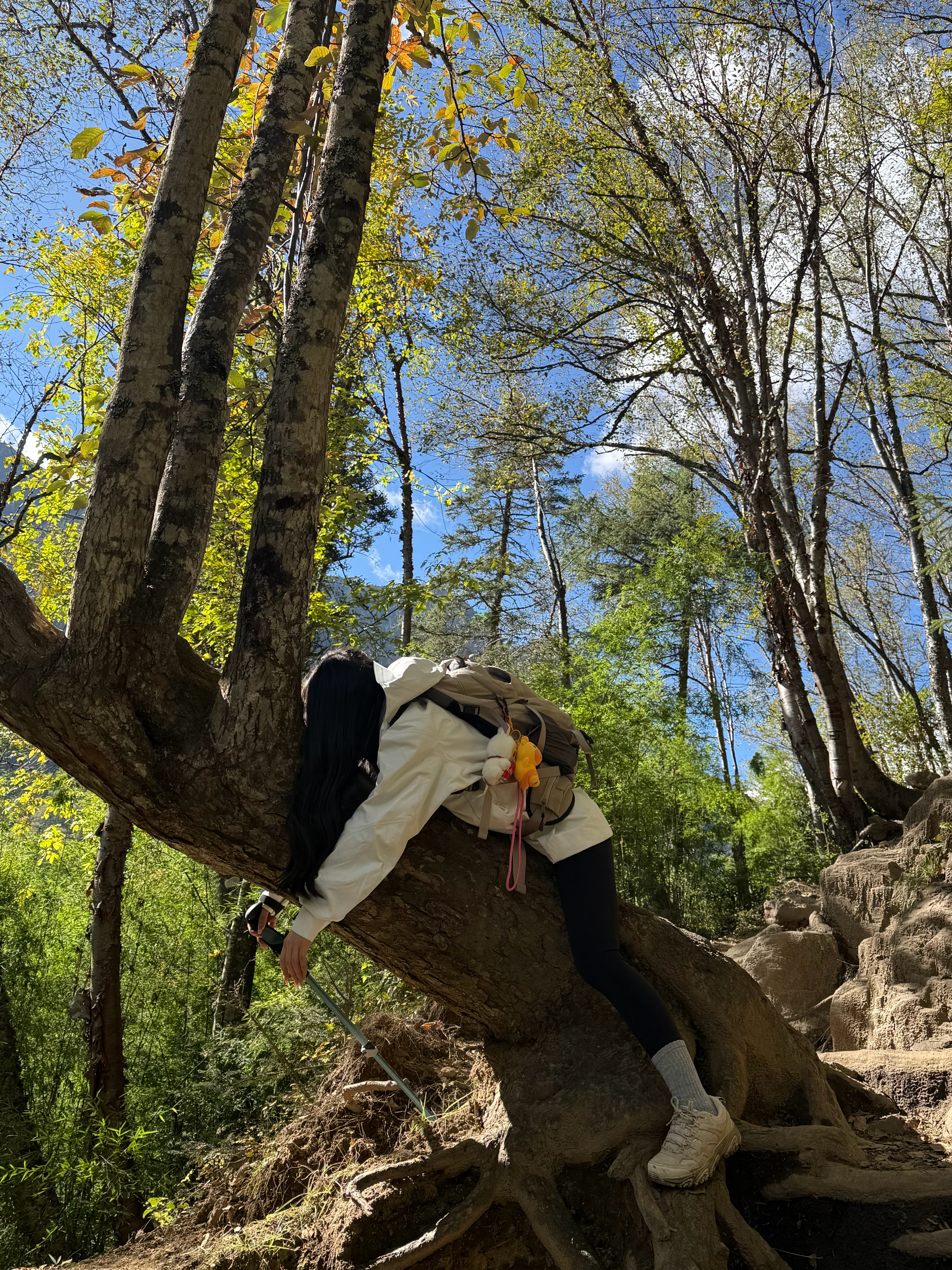 如果有同我一样高认知 精神世界丰富 可以做到足够纯粹的人 我真的可以什么都不要 