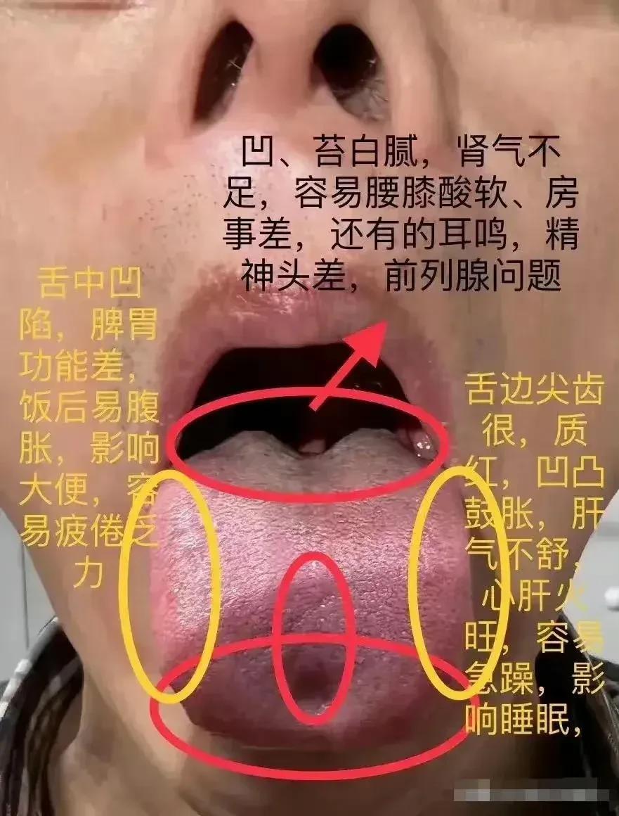 你是否想过通过观察舌头来判断健康状况呢？舌诊作为中医诊断的重要手段，让我们一起来