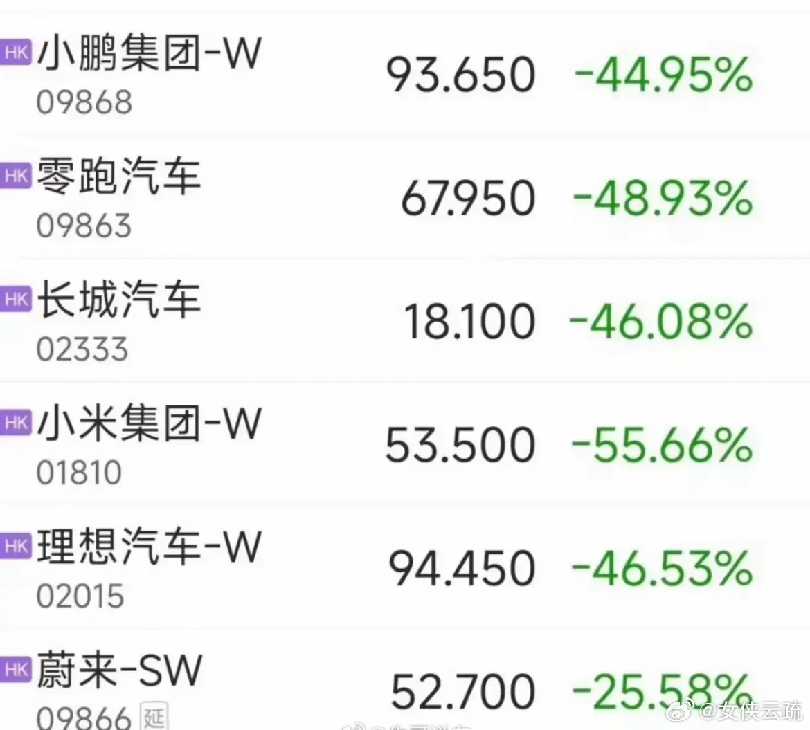 新能源汽车新能源车门槛太低了，都想进去吃点肉，结果发现肉没有，能喝到汤的10家车