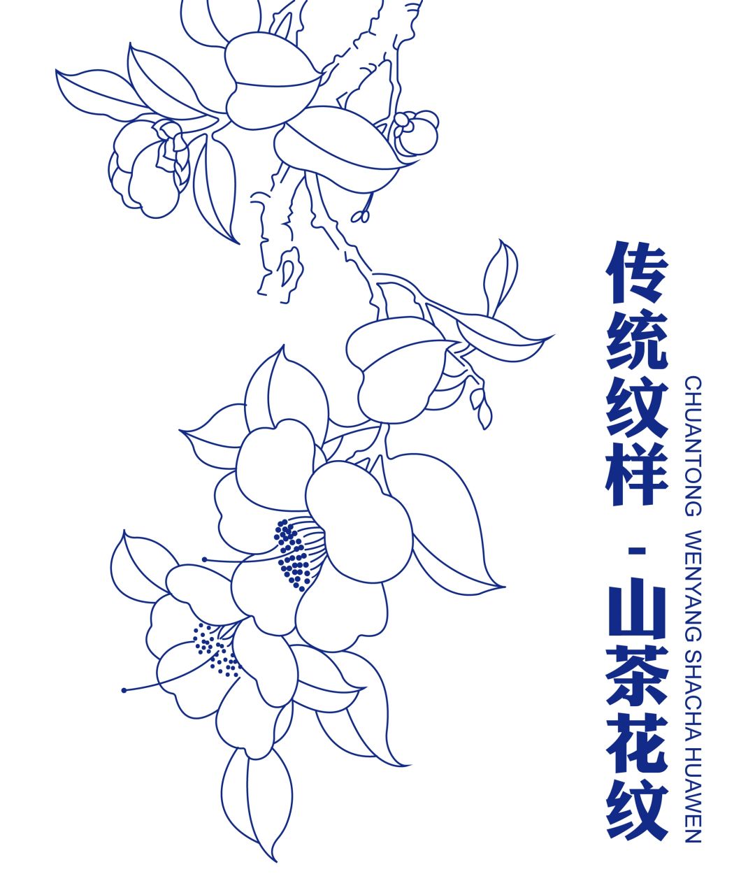 传统纹样山茶花纹(13)