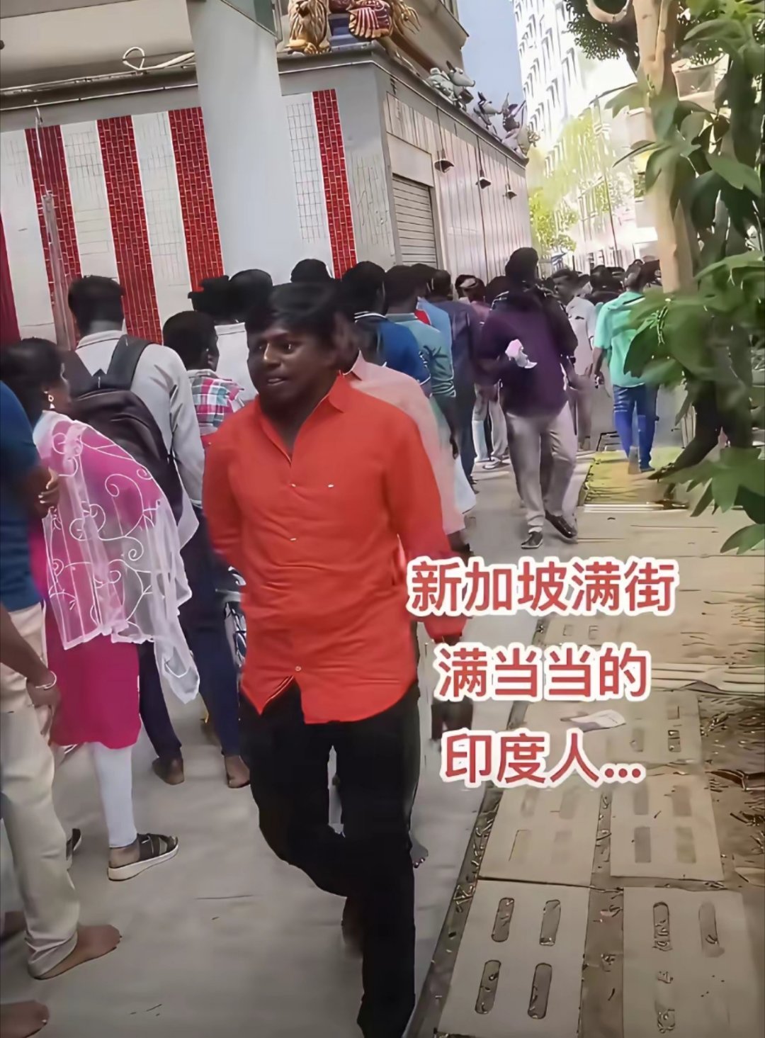 很多人不理解为什么新加坡要引进那么多印度人，而且对印度人的到来还表现得那么热情？