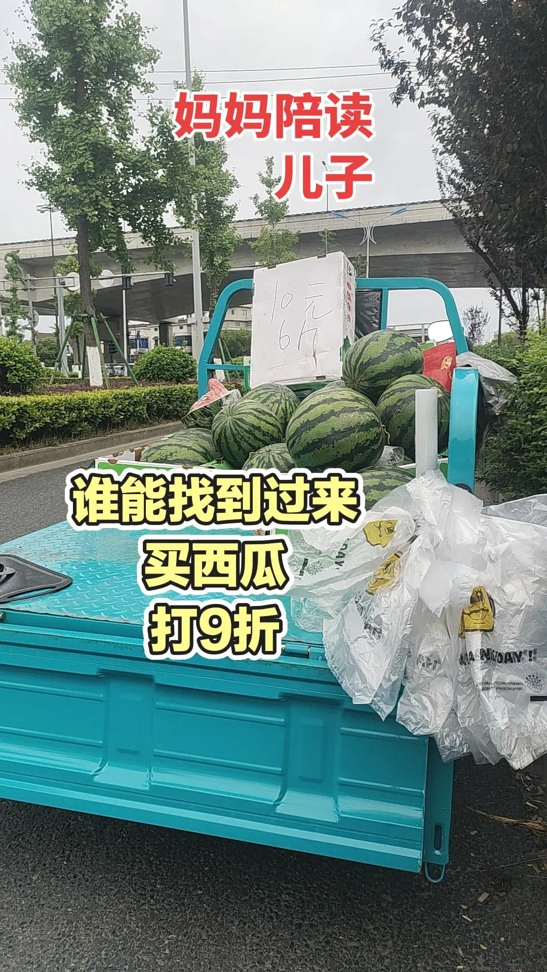 每日分享