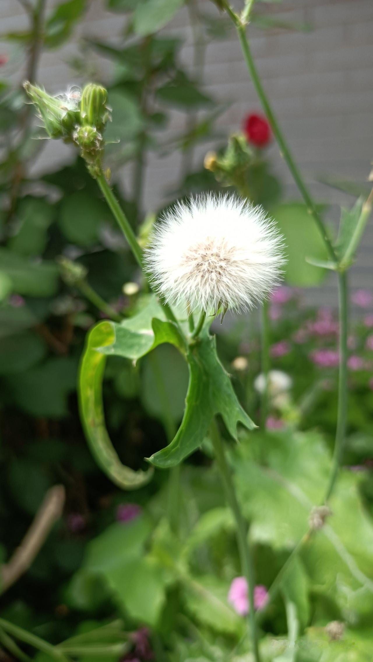 幸福到底是啥？听听这些实在话
 
男人说，幸福是家里有个漂亮温柔的老婆，
累了有