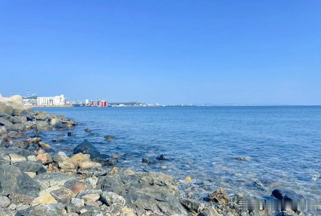 我心中的港湾大连
浪花是你的笑脸
涛声是你的呼唤
碧水映蓝天
鸥帆咏平安

我心