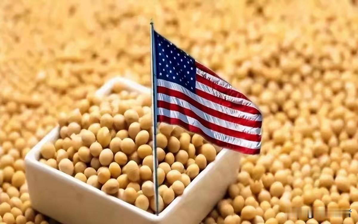 巴西大豆坐地起价，逼走中国买家，美国豆农笑了，巴西豆农即将要哭晕在农场!

巴西