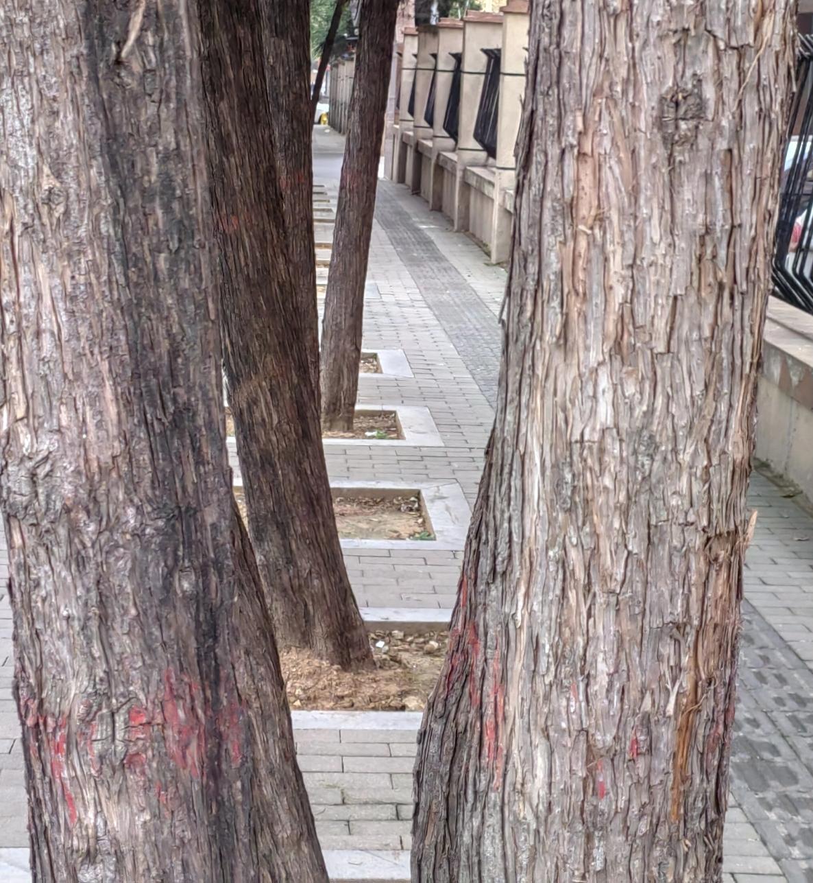 “中日早晚要有一战”，此话不是空穴来风，以目前日本国内的舆论看，中国需要像日本一