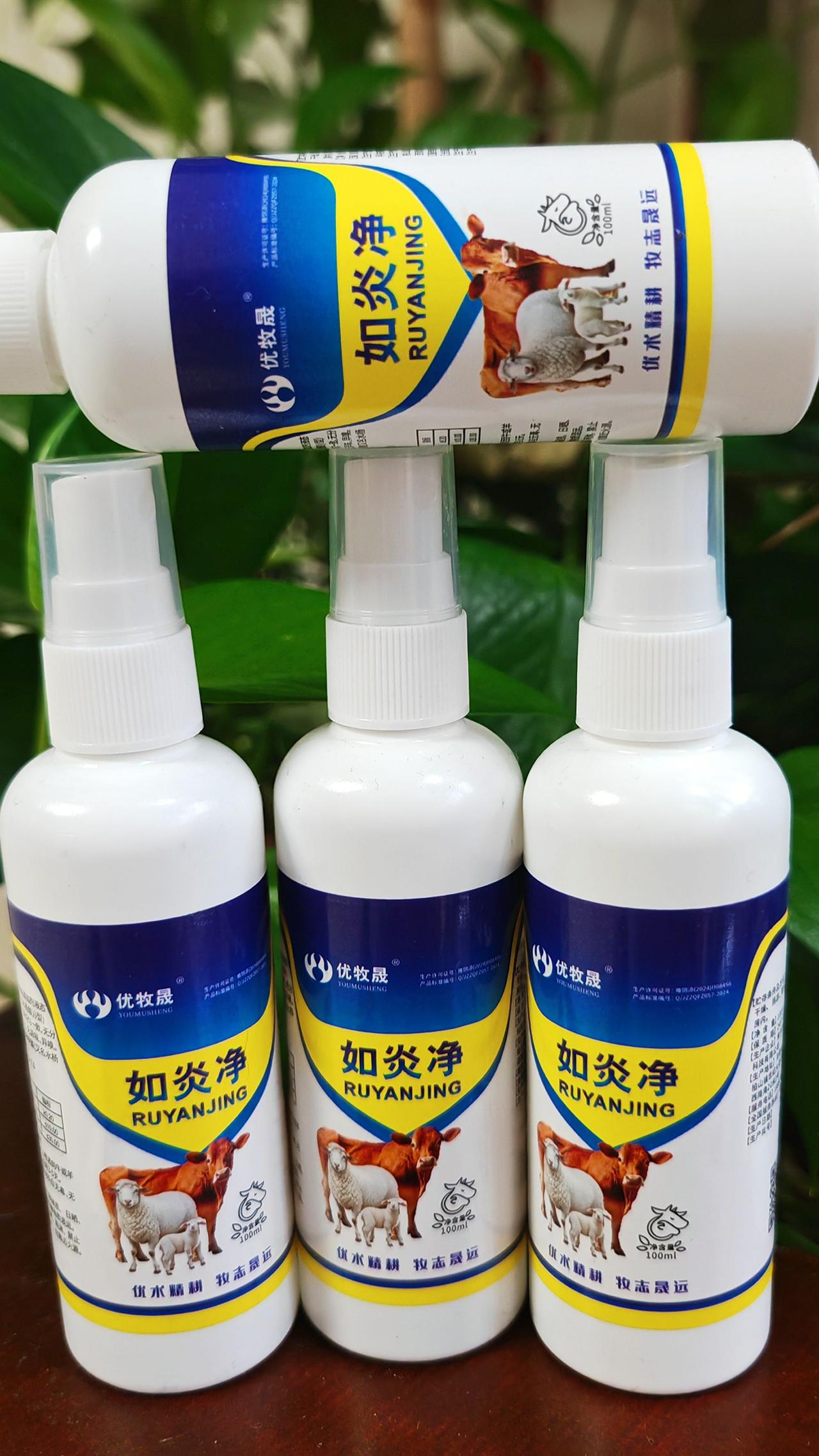 养羊人 农村养羊 牛羊养殖