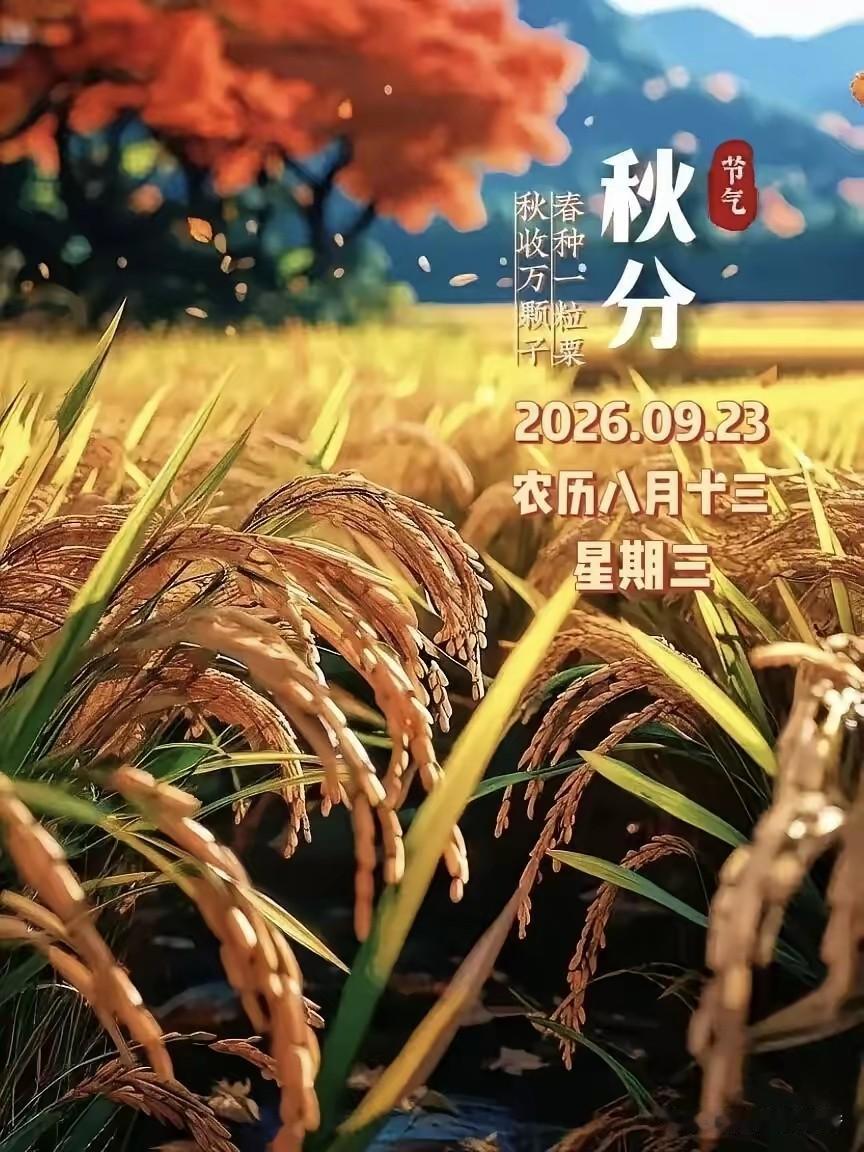 今天9月23日，农历八月十三，我们迎来了秋天的第四个节气一一秋分，秋分的到来，代
