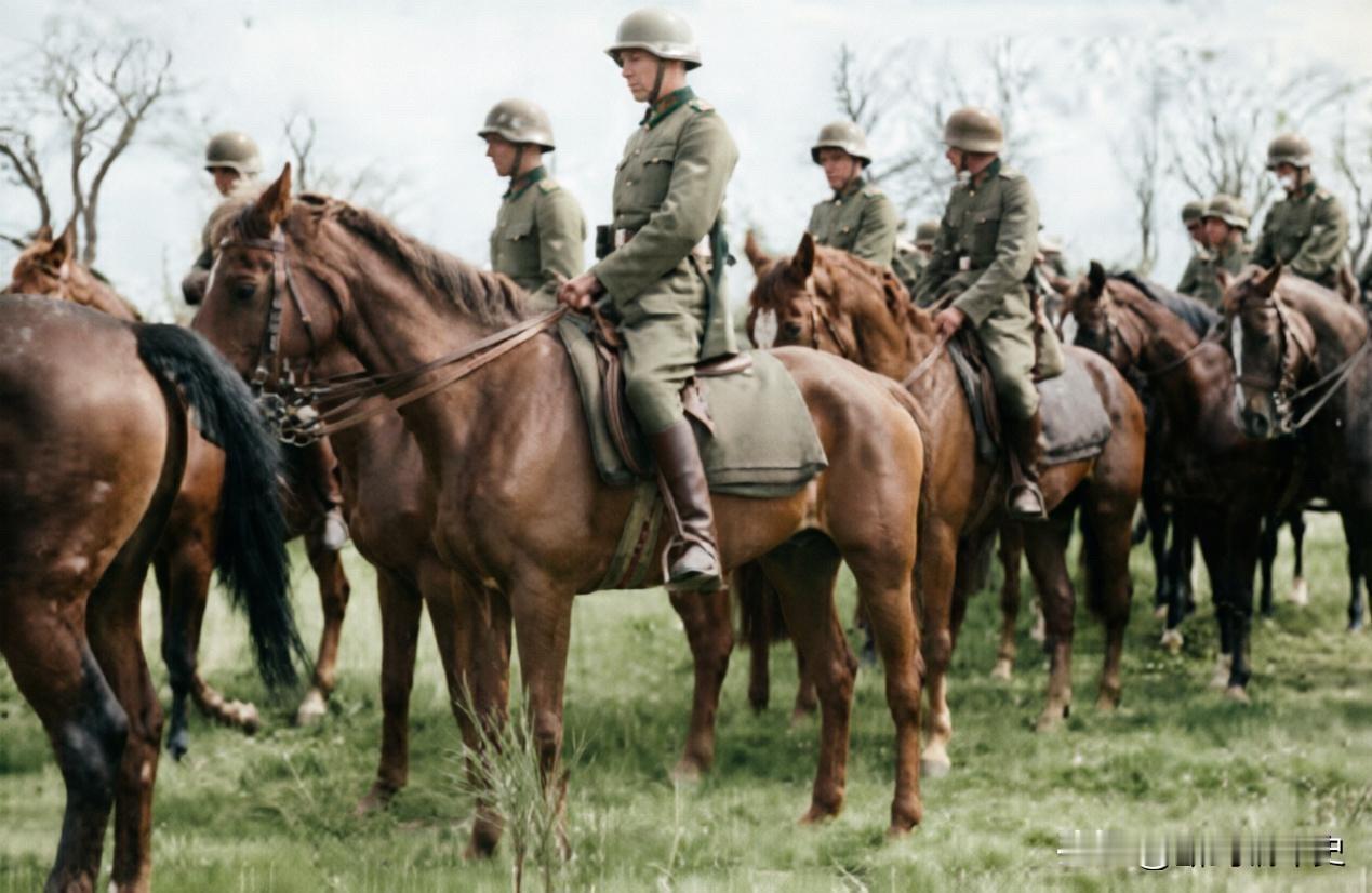 1945年2月，纳粹德国覆灭前夕，武装党卫军最后一支骑兵师仓促成立。它的番号是第