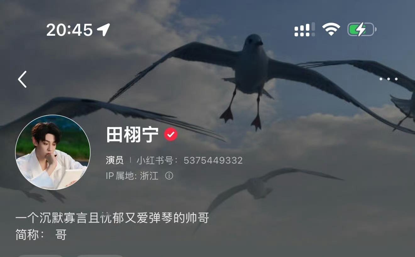 田栩宁工作室换头像了 今天是田栩宁团队从老板到员工集体换装的小游戏吗？！突然觉得