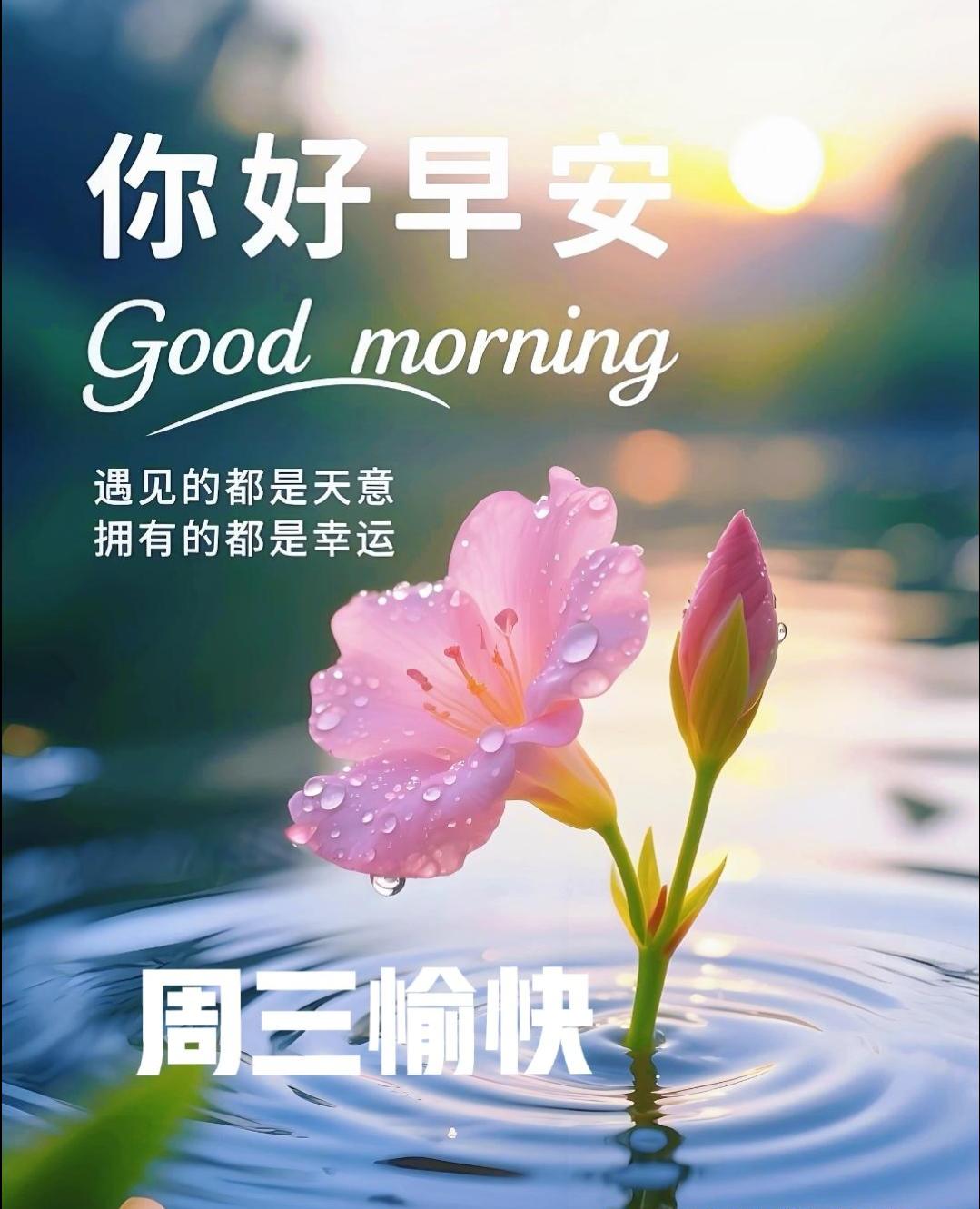 📖人生就像一本书，翻开每一页都是新的开始，勇敢地面对每一个挑战，今日坚持，终成