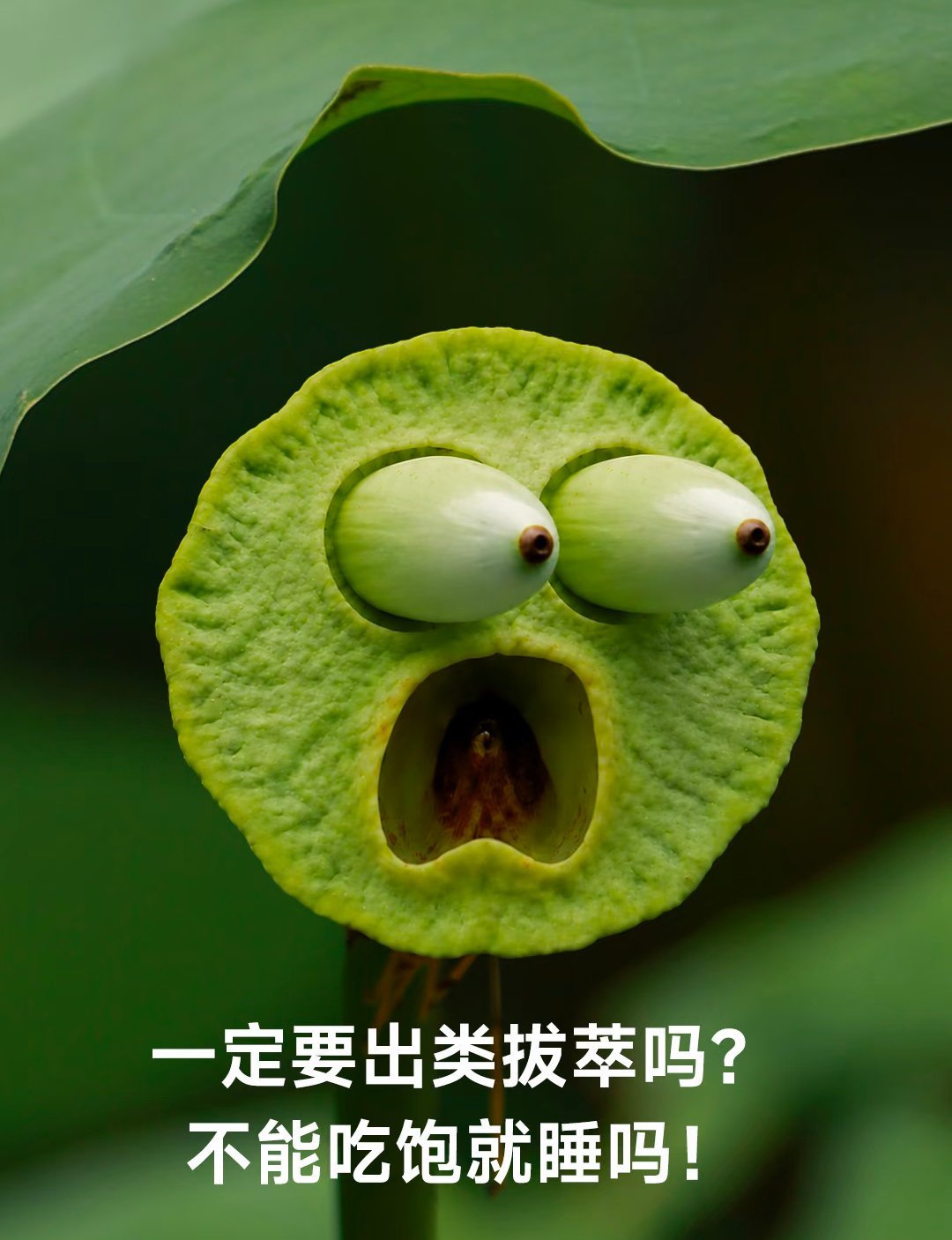 开学前就叮嘱女儿👧🏻把画笔带学校这都一星期了，也没见她带她平时也不是丢三落四