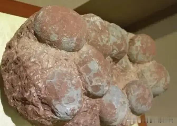 刘老汉花了600块，买回来9个石头蛋子，转手就要卖45万。他觉得自己这运气真是没
