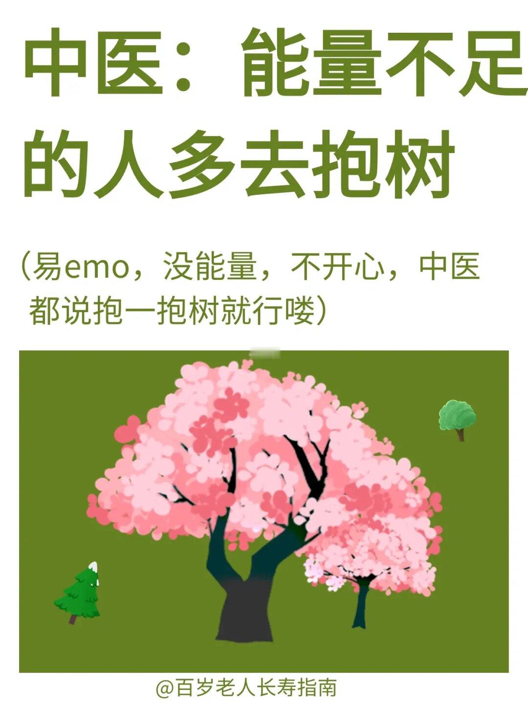 真心建议：能量不足的人多去抱树✅