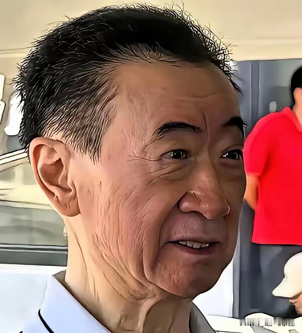王健林被限制高消费，咋一看上去，又是房产大佬要失败，要耍赖的节奏。但是你发现了吗