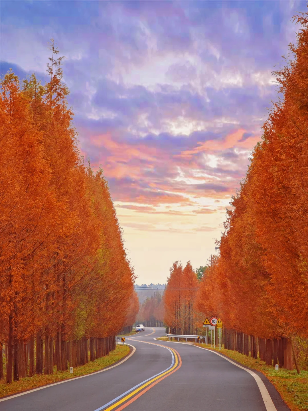 以为南京燕雀湖的秋天很美了，直到来了这里