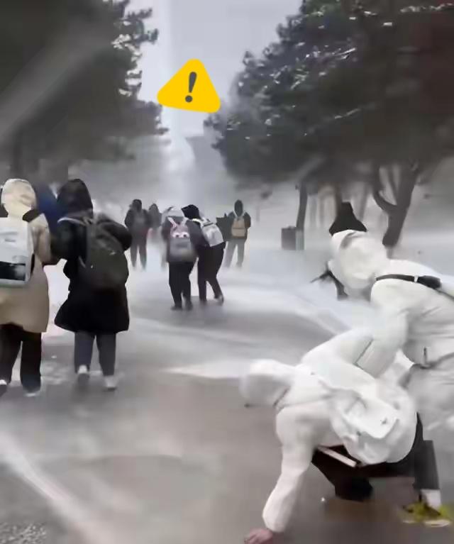 走路姿势的“进化”
​​东北的冬天，路面哪能不滑？头天夜里下的雪，被行人踩实了，