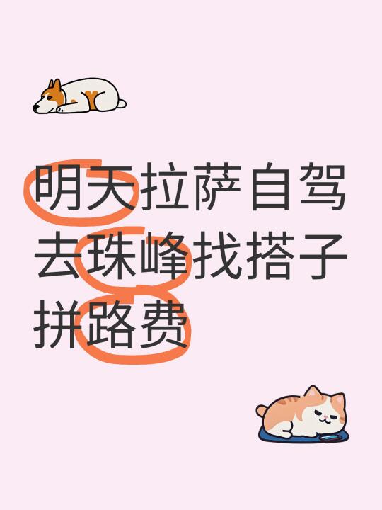 明天早上出发，租车自驾车上还有位置找搭子