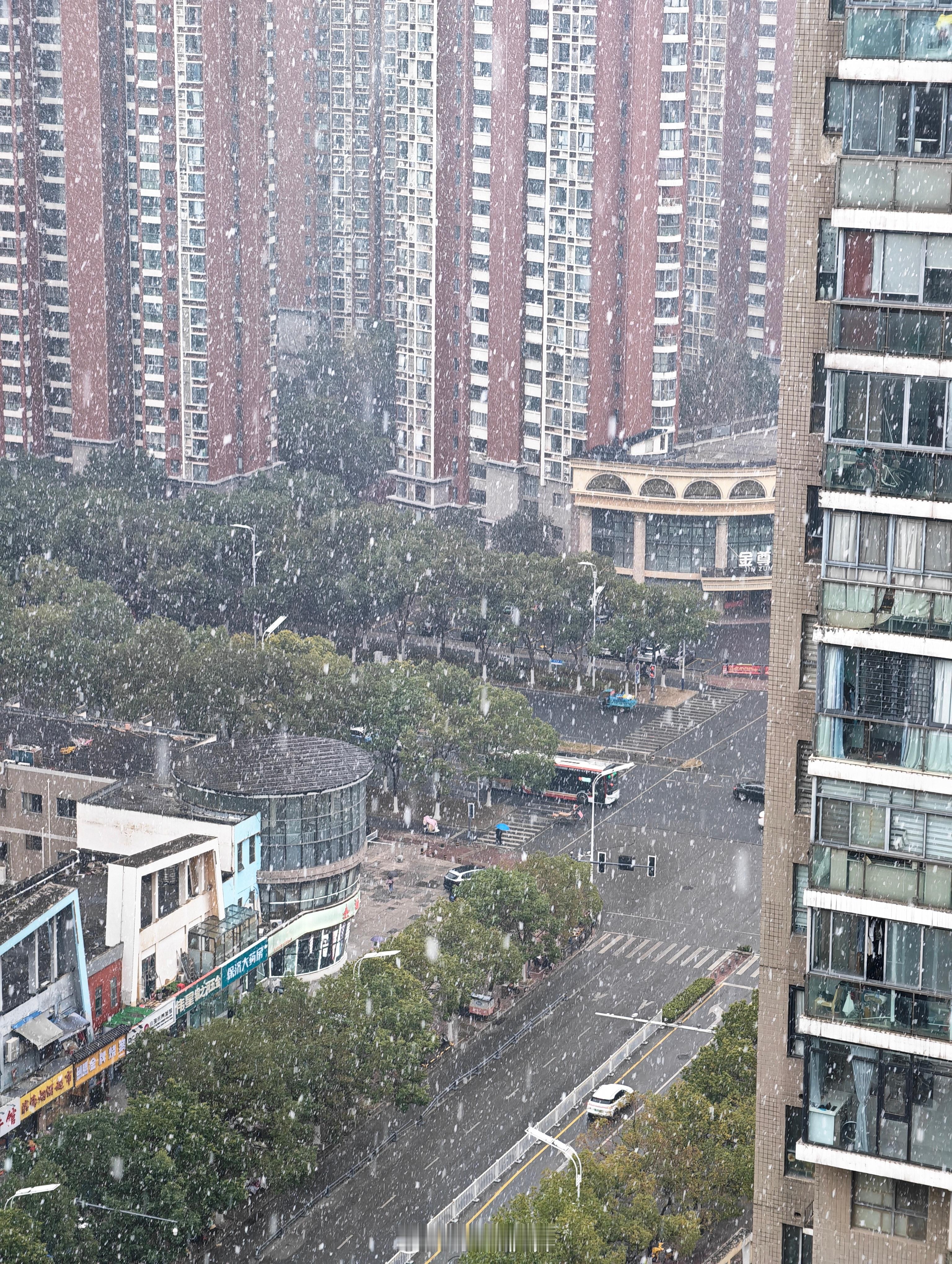 合肥2026第一场大雪❄️如果刚好你也看到了雪，就当我们见了一面 合肥下雪