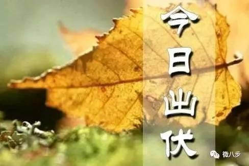 8月24日就出伏啦，40多天的暑热终于要结束，想想都开心！不过今年是“晚出伏”，
