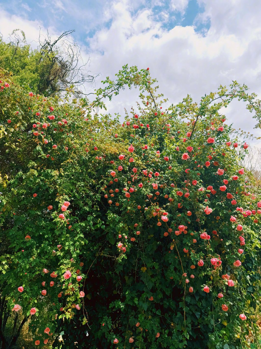 任何能同时包含有平静和丰富之感的事物，可称为这世上最好的事物。你只需要融入它，不