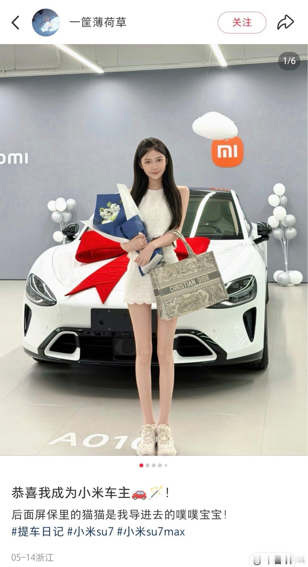 晚安 猫窝每日晚安新一代su7