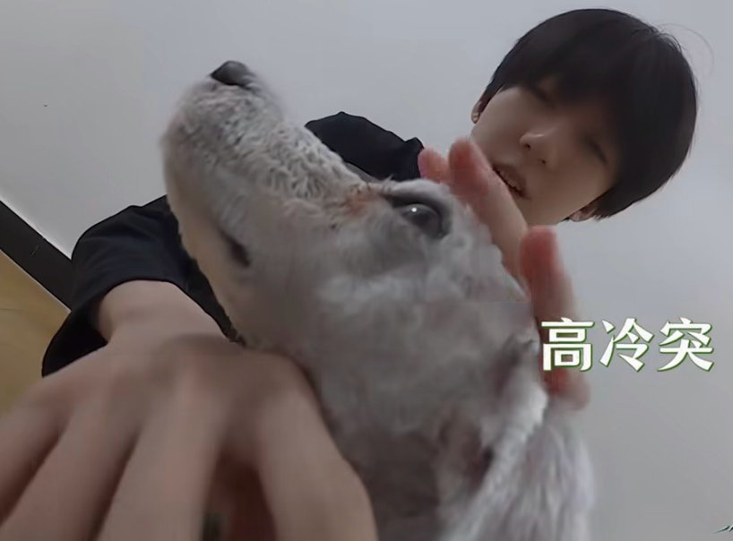 这波我直接魂穿突突 