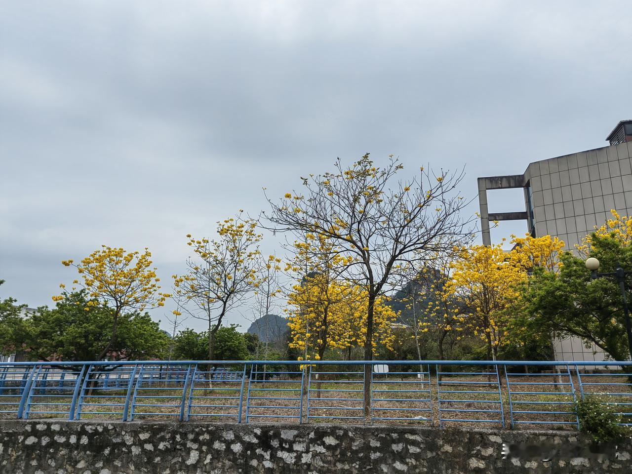 春赏百花齐放
秋品落叶漂零

春乃生机勃勃之季，秋则万木潇苏之时，春对秋，花朵对