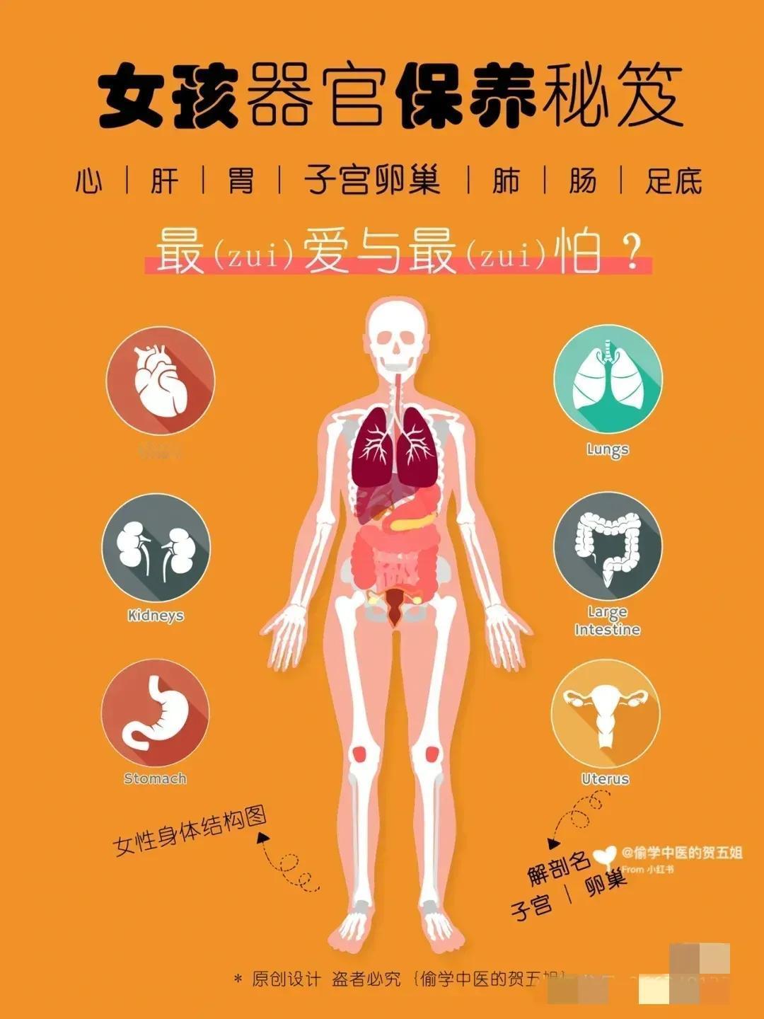 你是否了解身体的SOS信号？五脏六腑怕什么？今天，我们就来秒懂女孩身体器官的小秘