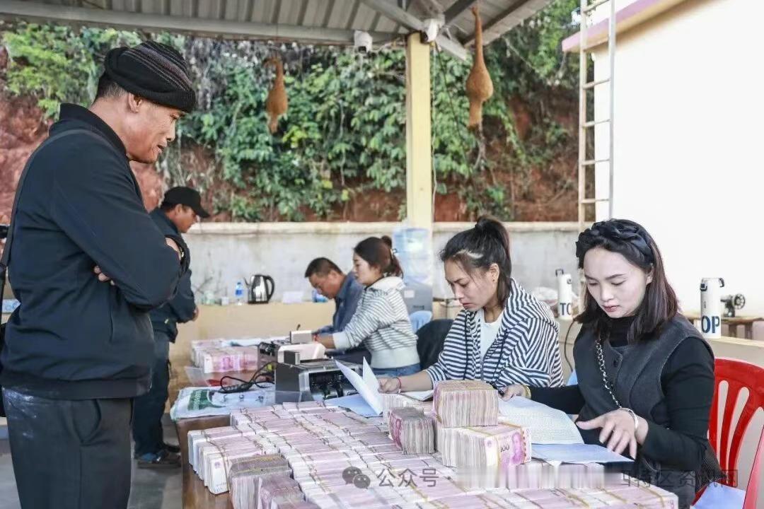 缅北小勐拉民众结到甘蔗款了！

西双版纳景真糖厂支付年度第二期蔗款兑付工作，累计