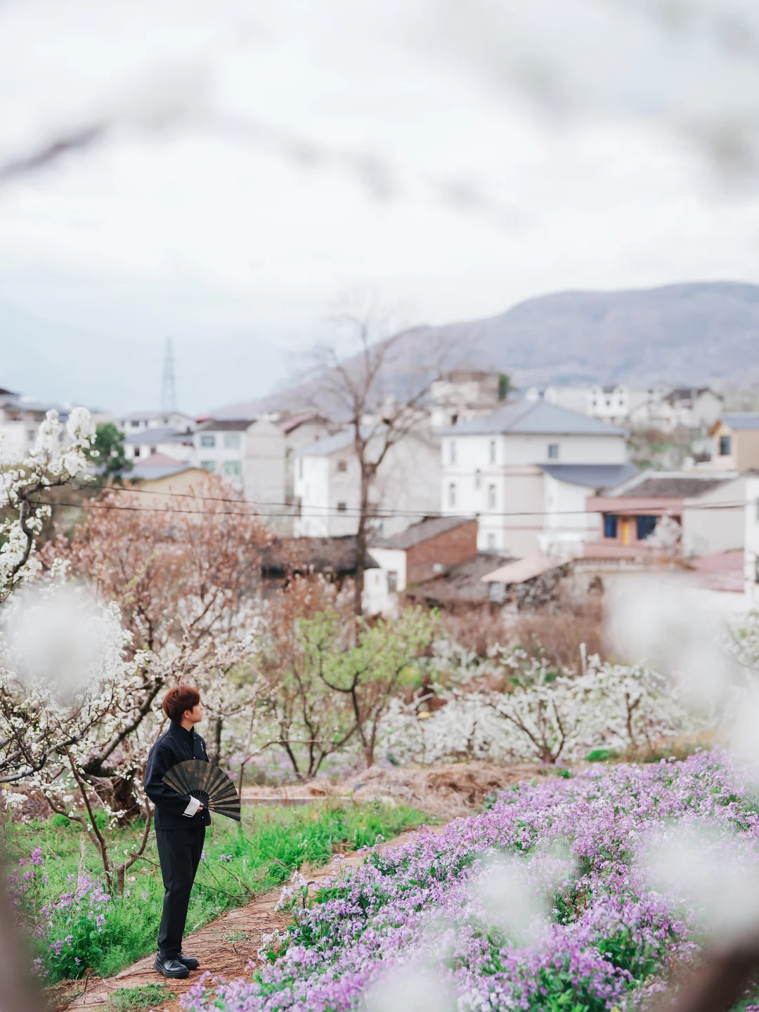 九襄梨花开了！这才是成都周边春游的天花板！