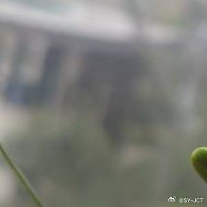 每日一善 生命中的任何感动都是岁月的馈赠。是你以赤子之情善待了这个世界这个世界回