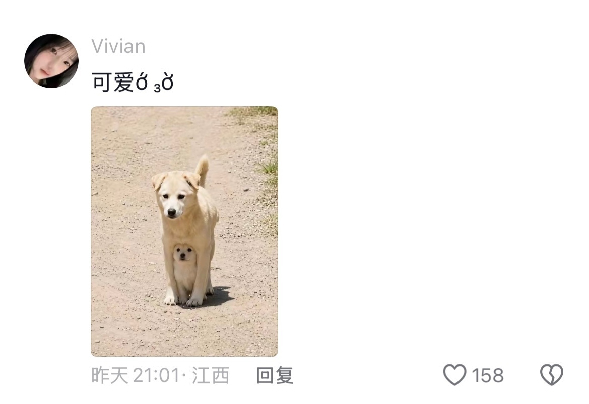 歌手直播当你出生仰望天空时，第一眼看到的是妈妈 