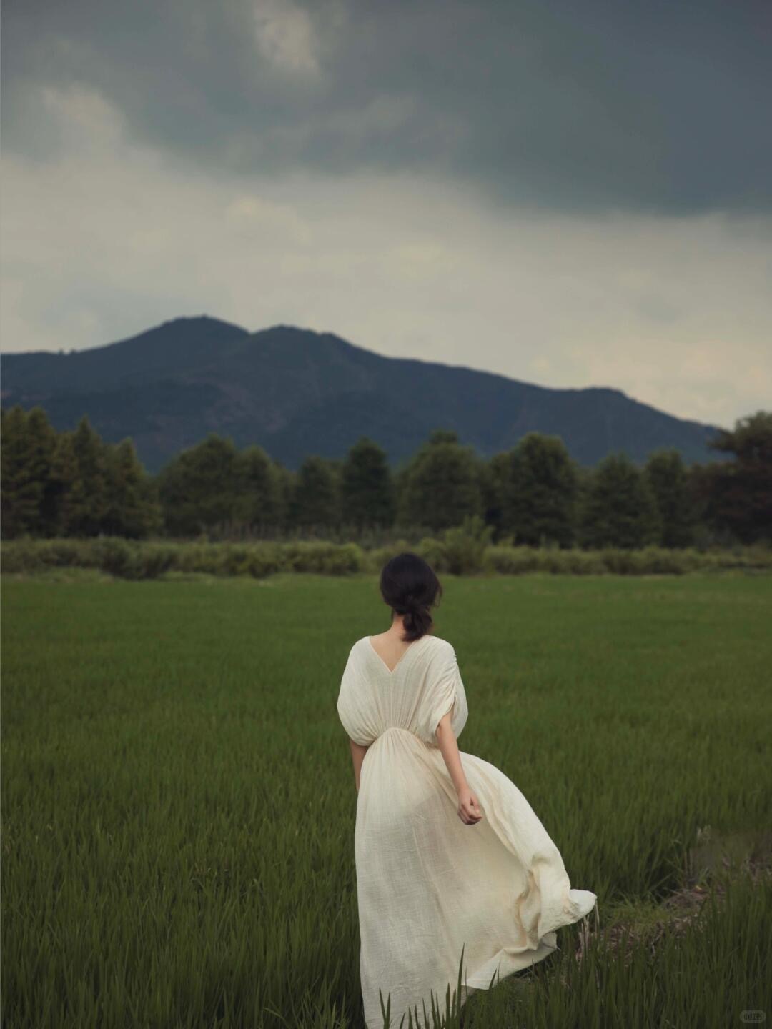 人无法持续做一件自己抵触的事情，肉身和精神总有一样会逼着你中途下车。现在我还不知