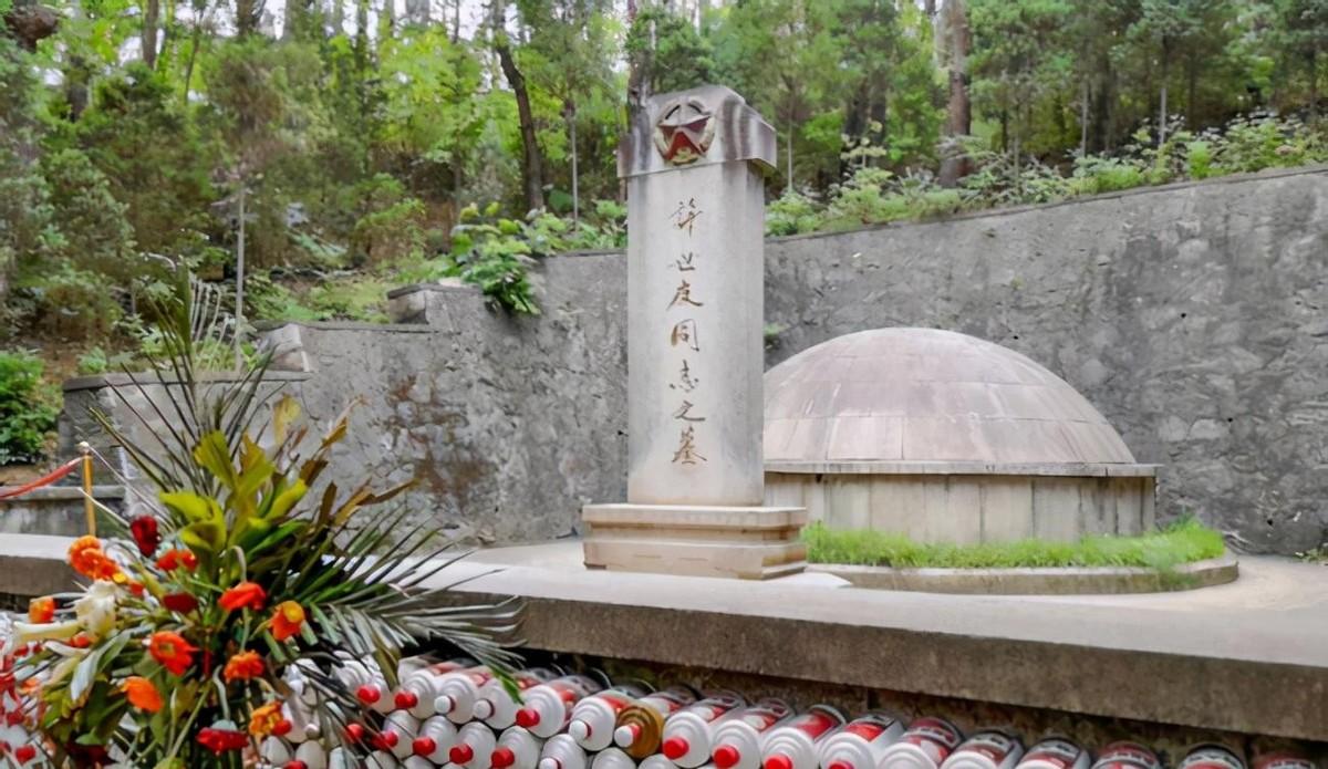 许世友亲自挑选秘书，因为一次错认王震而闹出笑话，许司令分别时叮嘱：今后有事可以随