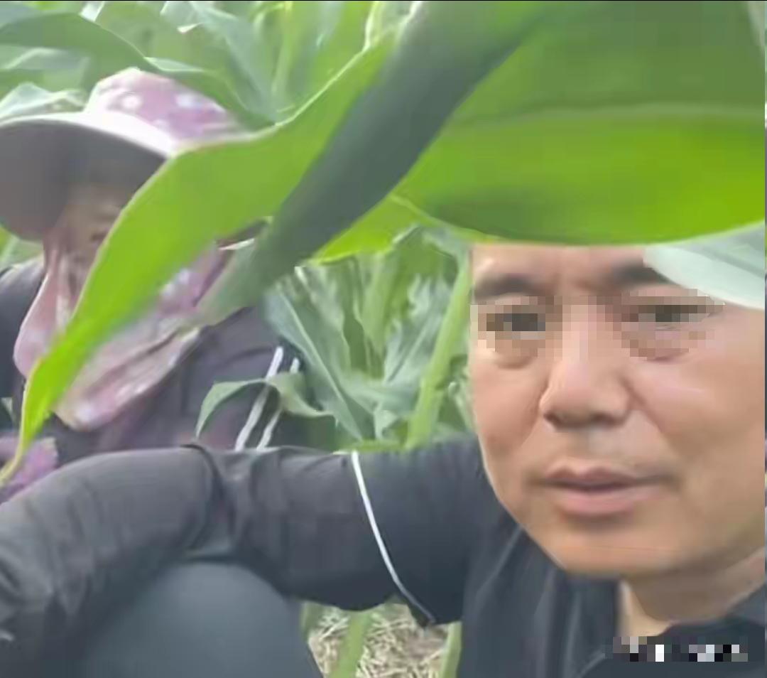 “我想他一定是在想他爸爸了！”深夜，丈夫枕着坟头睡得香，让妻子看哭了双眼。

原