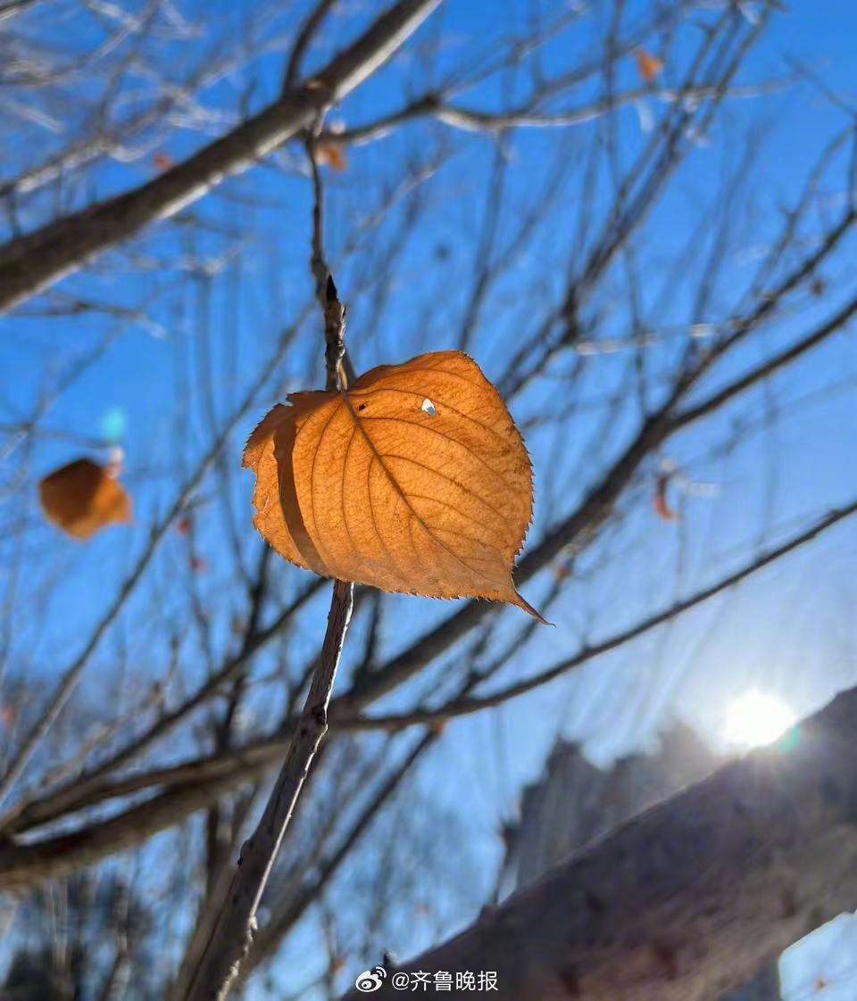 哪怕日子平平，也藏着小美好。#早安#