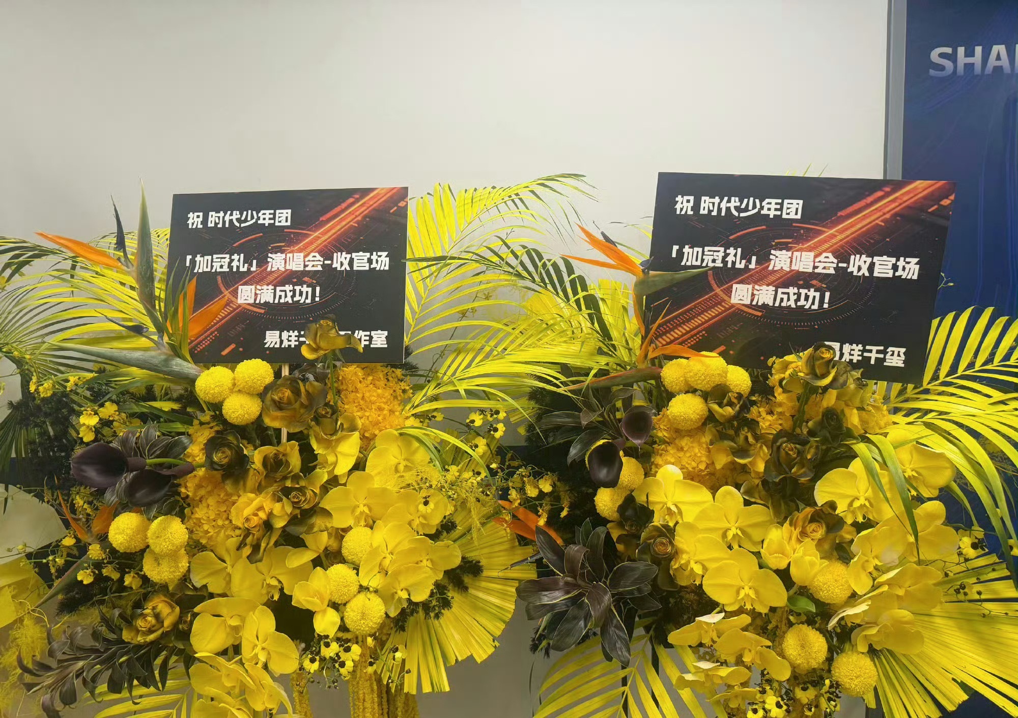 TFBOYS送时代少年团花篮 王俊凯王源易烊千玺对于TFBOYS和时代峰峻也只剩