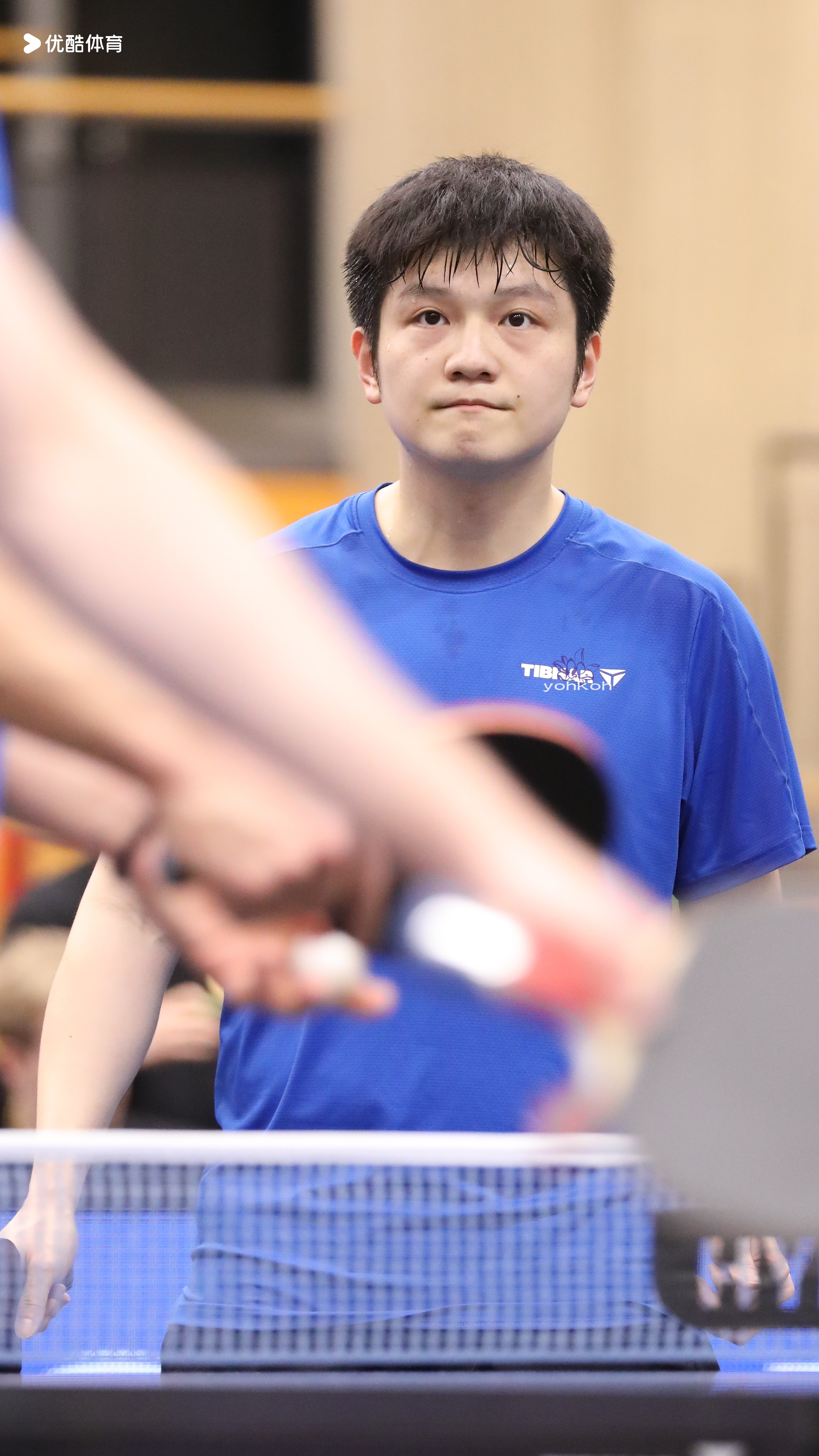 樊振东 樊振东德甲 德甲乒乓球联赛 东东午安繁星晚好 