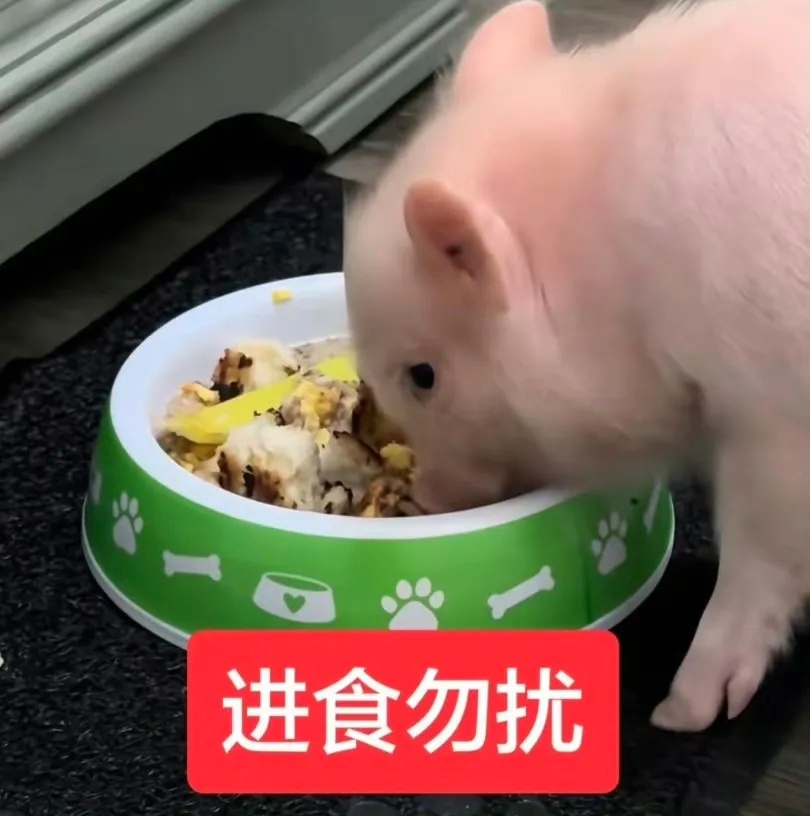 被大扔撩到心悸 ​​​