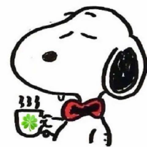 顶流娱的一天
