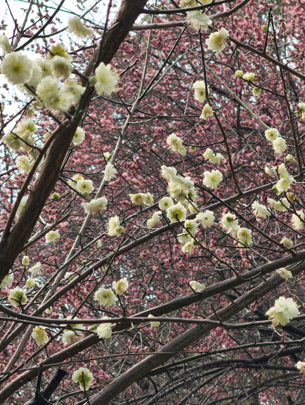 天说亮就亮堂起来，年说到就到了，我们总在深夜里扛不住了，第二天早上又悄悄把自己捡