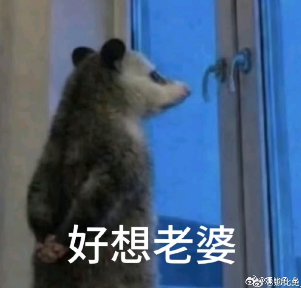 还我妔妔。 