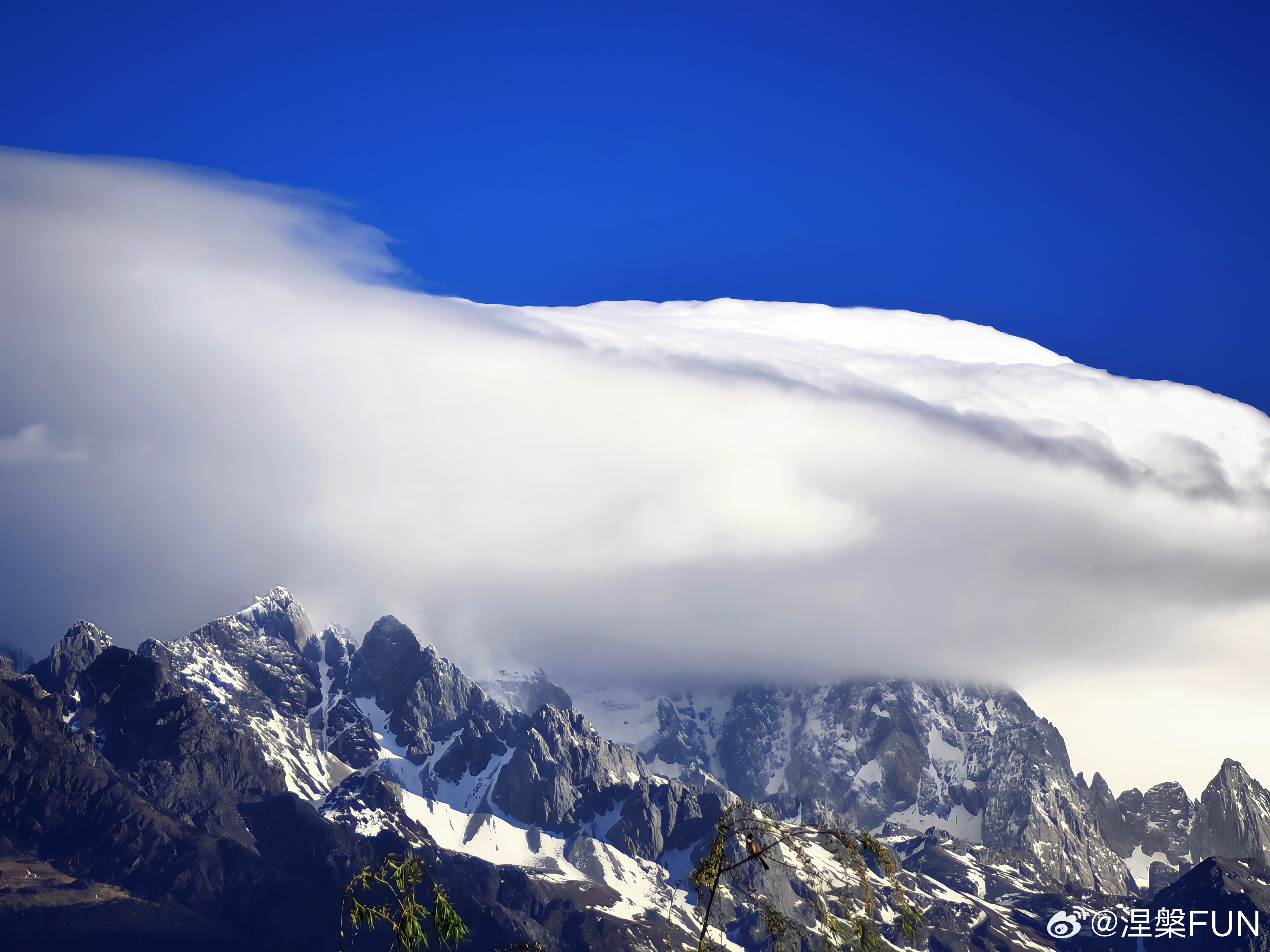 DeepSeek崩了还是那句话，没有DS还有豆包、千问等AI可以用啊！不是什么要