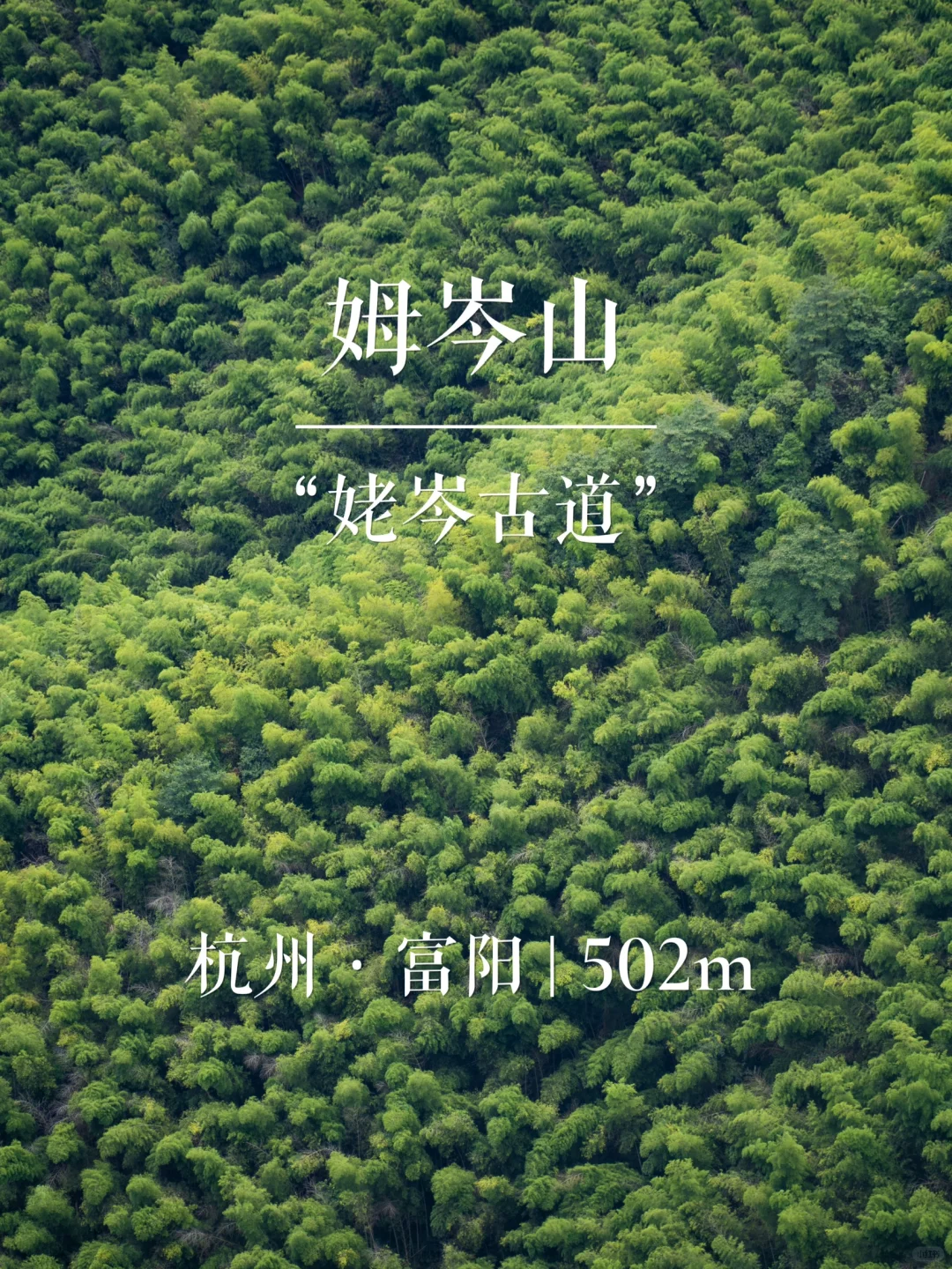 “姥岑古道”姆岑山 | 华东名山录