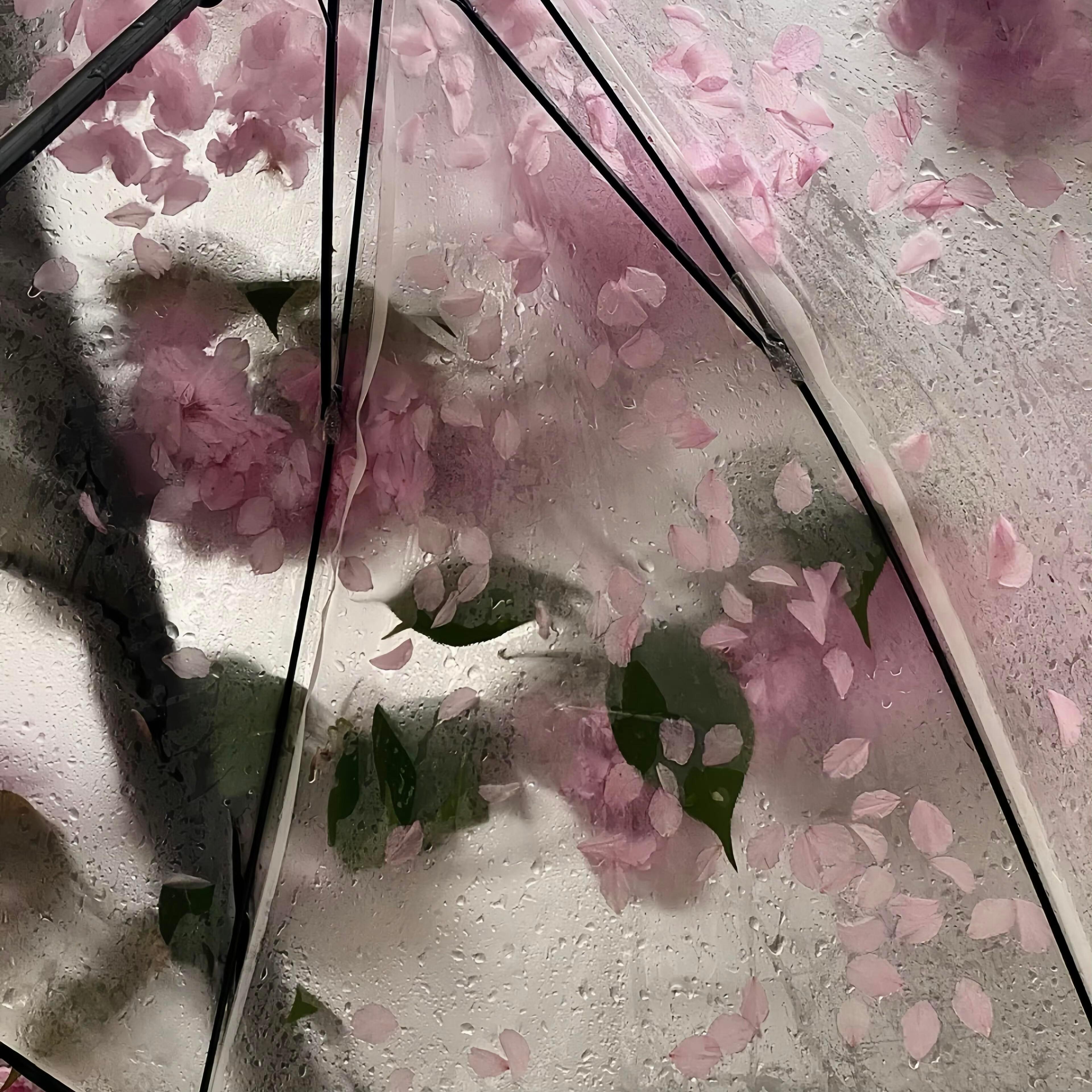 WeChat｜氛围感背景图🌧️背景图[超话] ​​​