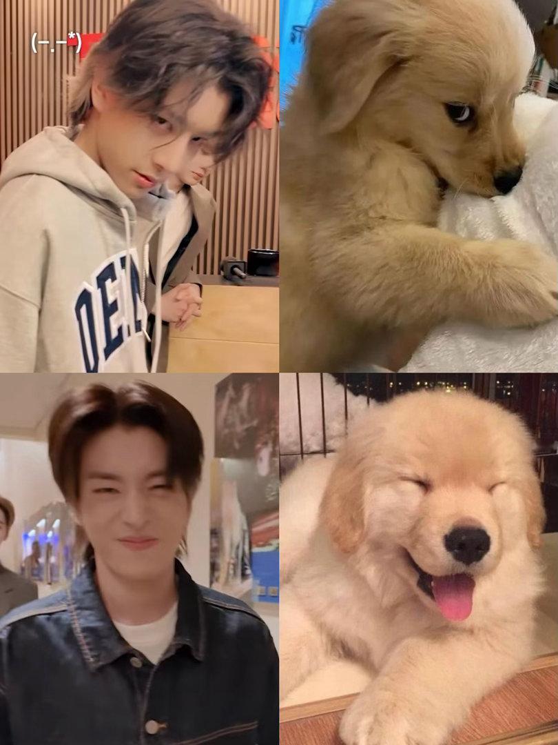 🐶🤏 